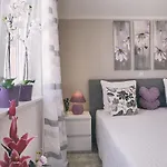 House Vedrana, Jadreski *